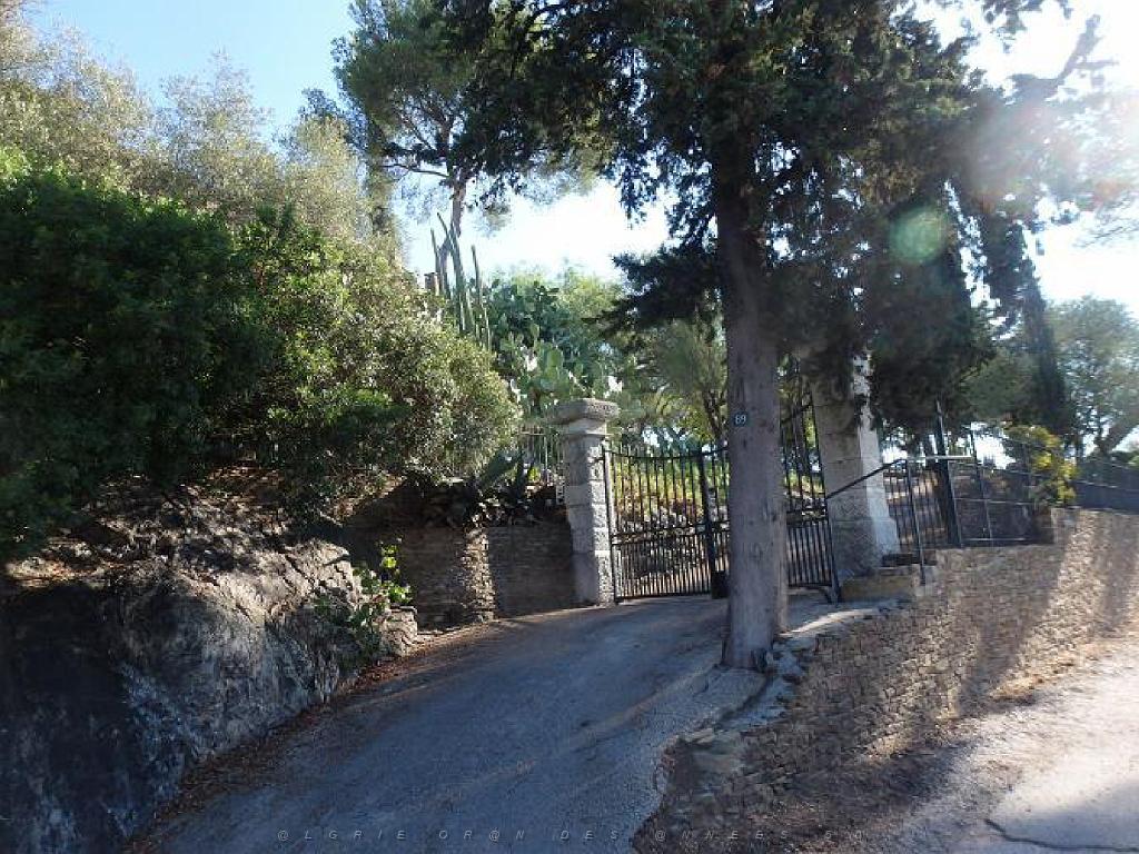 183 HYERES ET SES PALMIERS D01_000005.jpg
